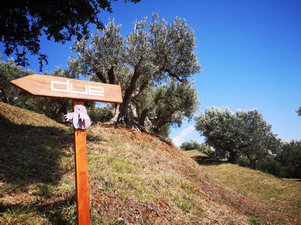 Due Esperienza Panoramica Villa Lamezia Terme Kültér fotó